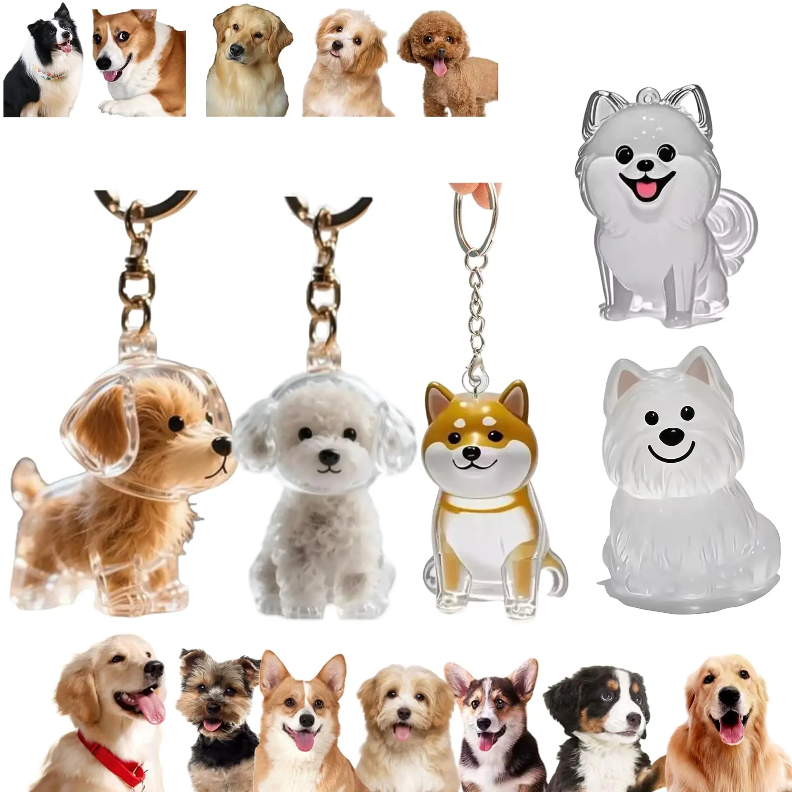 Pet Supplies Outlet - Pendentif commémoratif transparent pour animaux de