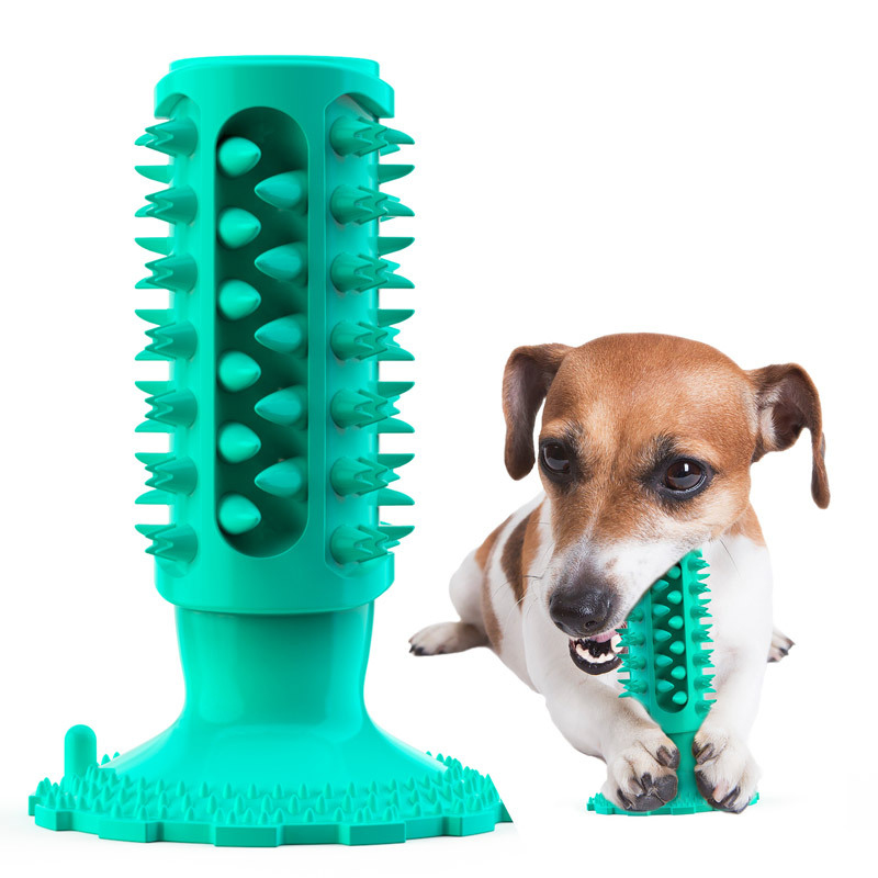 Pet Supplies Amazon - Jouet pour chien avec ventouse, bâton