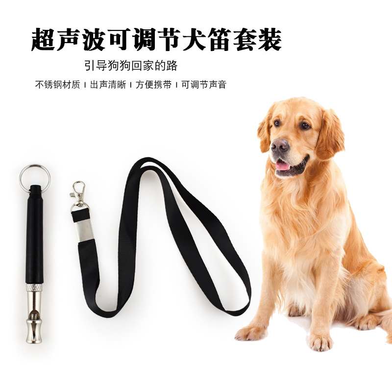 Pet Supplies Amazon - Amazon fournit directement des articles d'entraînement