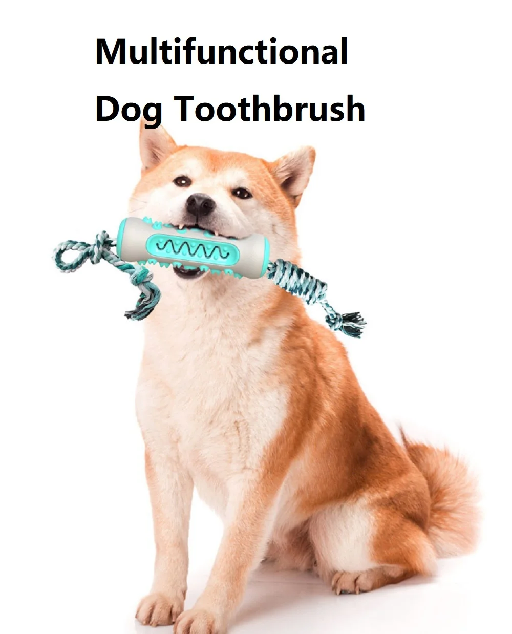 Pet Supplies Amazon - Fournitures pour animaux de compagnie Amazon