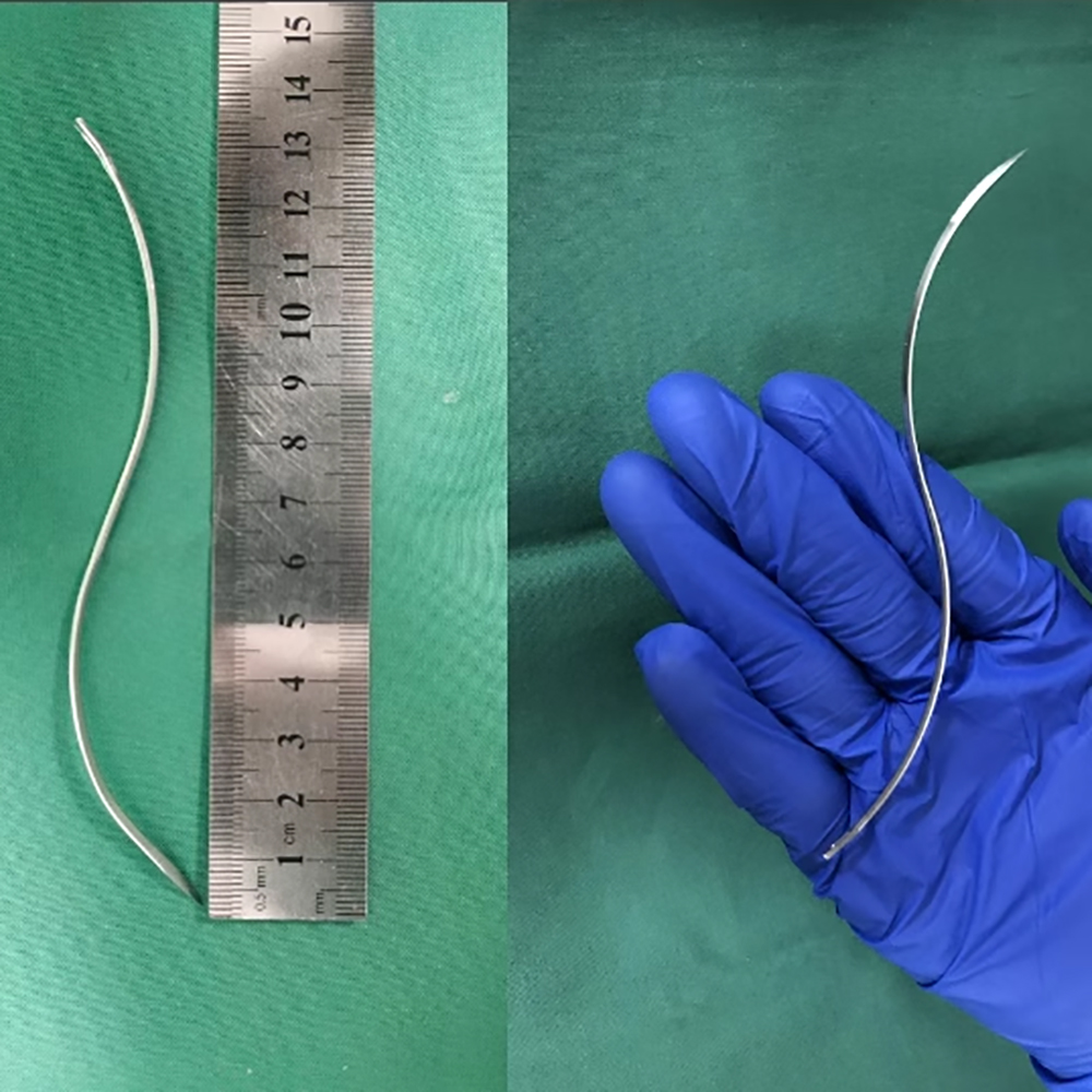 Pet Supplies Vet Clinic - Aiguille de suture en S pour