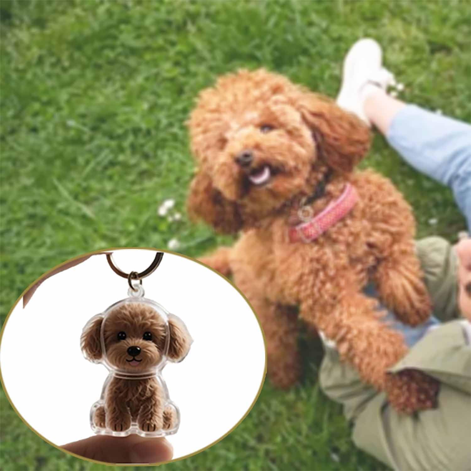 Pendentif commémoratif transpa - Pet Supplies Outlet avis et prix