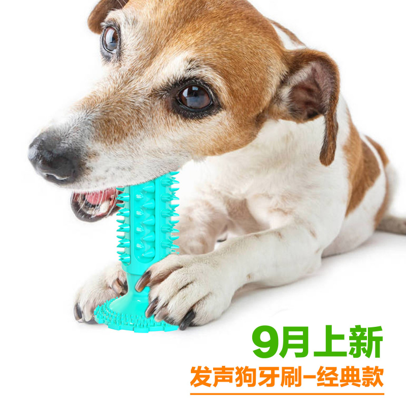 Jouet pour chien avec ventouse - Pet Supplies Amazon avis et prix