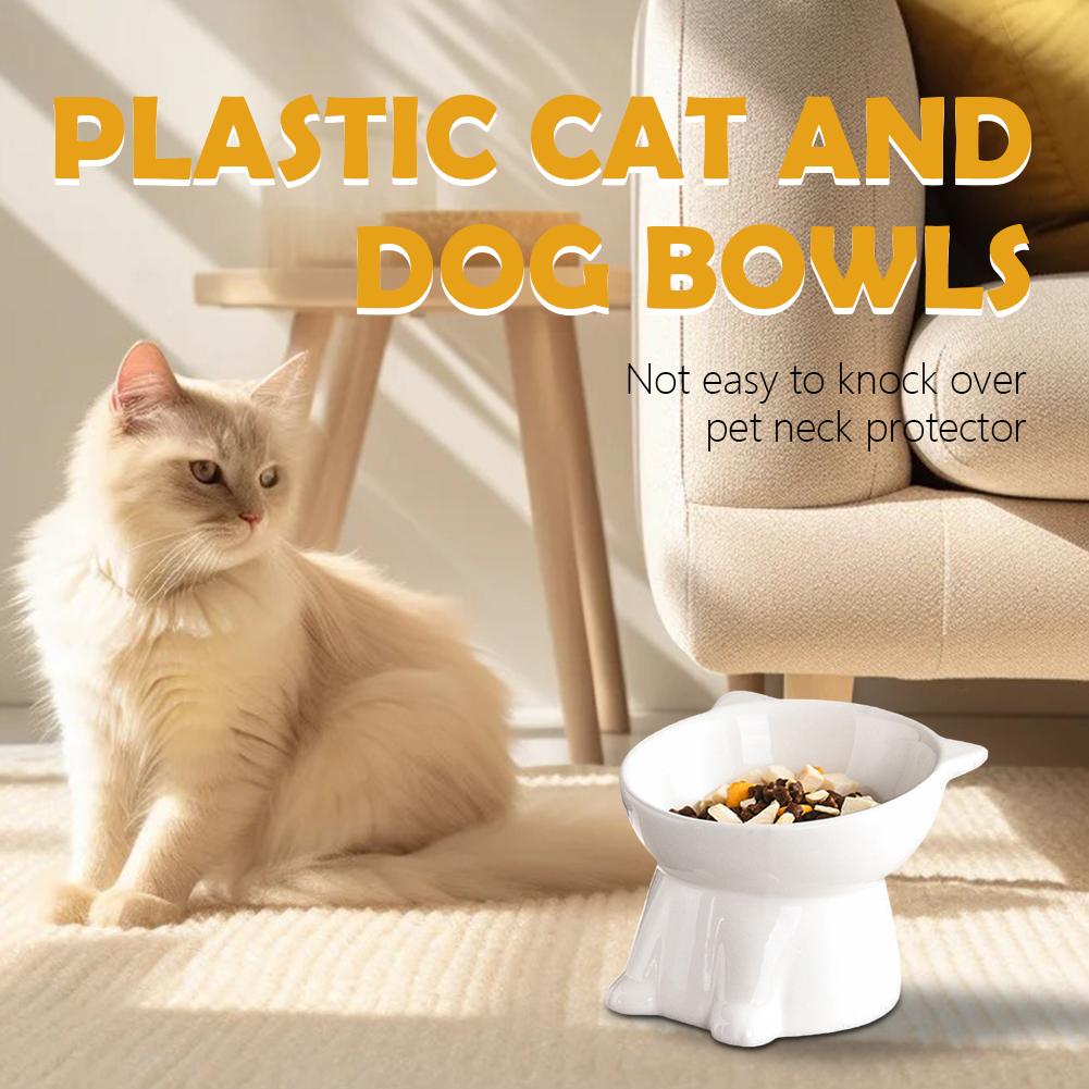 Bol pour chat noir Amazon, bol - Pet Supplies Amazon avis et prix