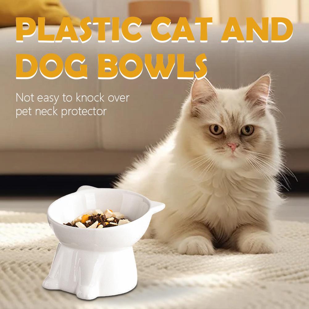 Bol pour chat noir Amazon, bol - Pet Supplies Amazon avis et prix