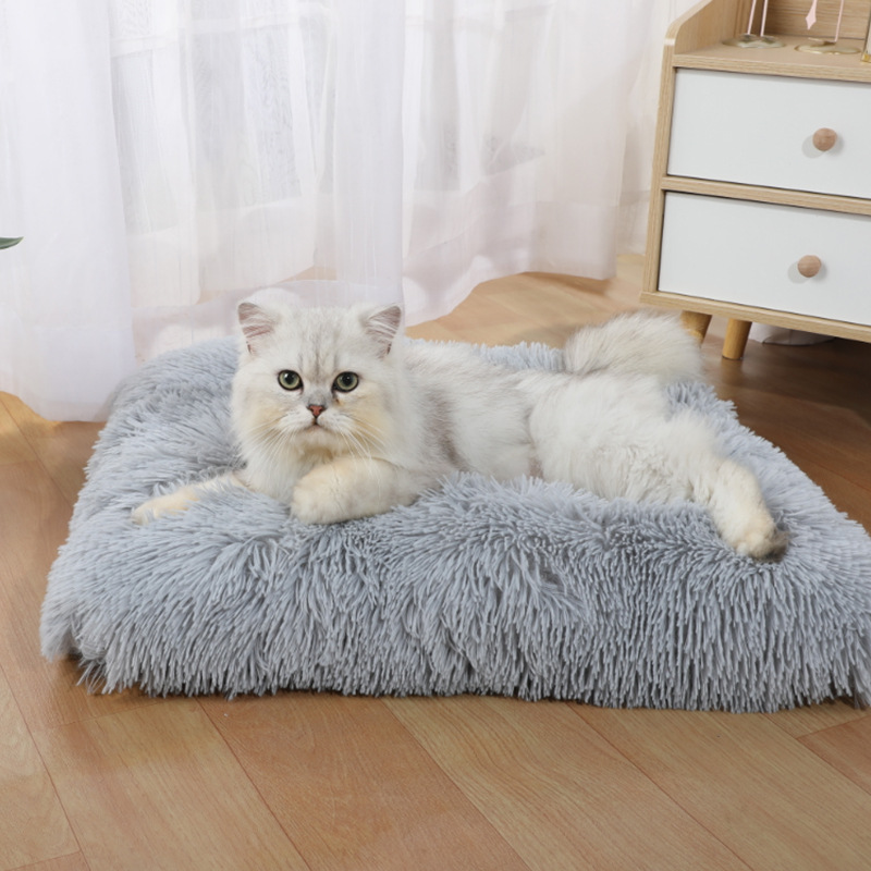 Nouveau Tapis de Couchage pour - Pet Supplies Amazon avis et prix