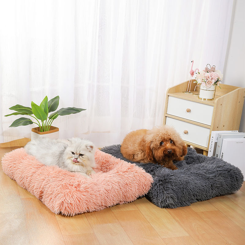 Nouveau Tapis de Couchage pour - Pet Supplies Amazon avis et prix