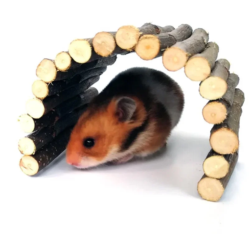 Branche de saule molaire pour  - Pet Supplies Login avis et prix