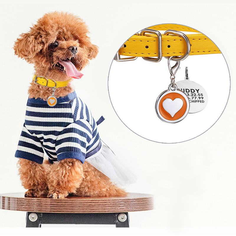 Collier en cuir pour chien et  - Pet Supplies Login avis et prix