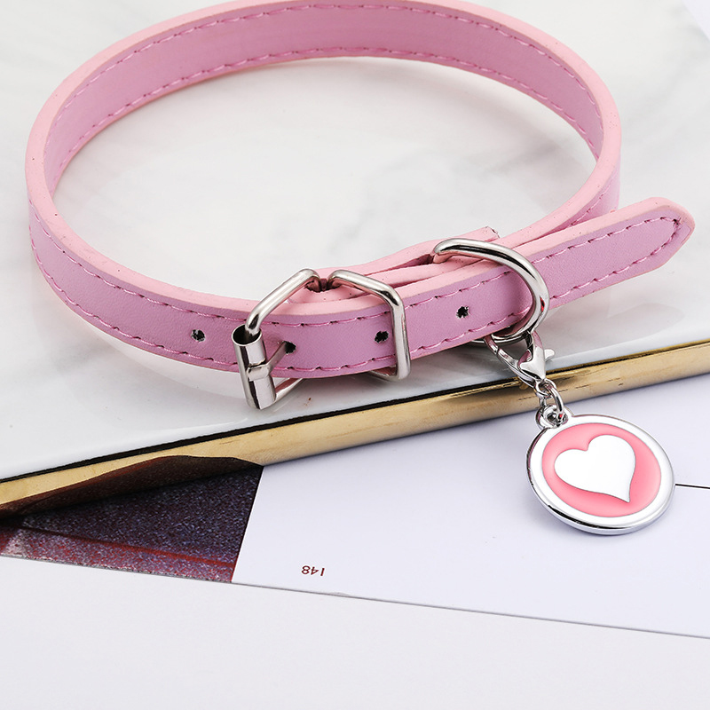 Collier en cuir pour chien et  - Pet Supplies Login avis et prix