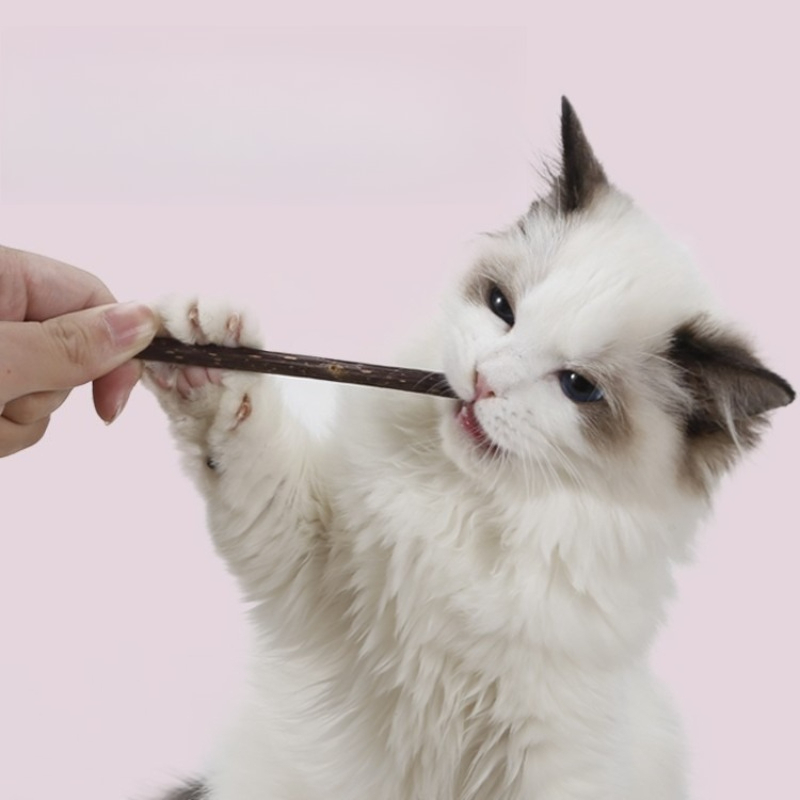 Bâtonnet à mâcher en vigne arg - Pet Supplies Login avis et prix