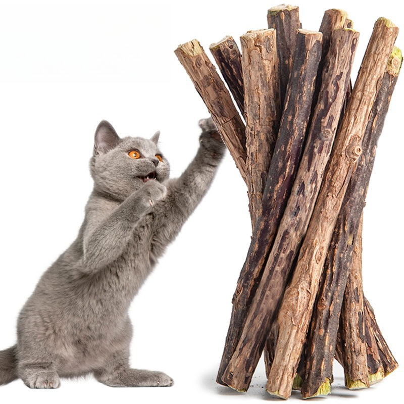 Bâtonnet à mâcher en vigne arg - Pet Supplies Login avis et prix