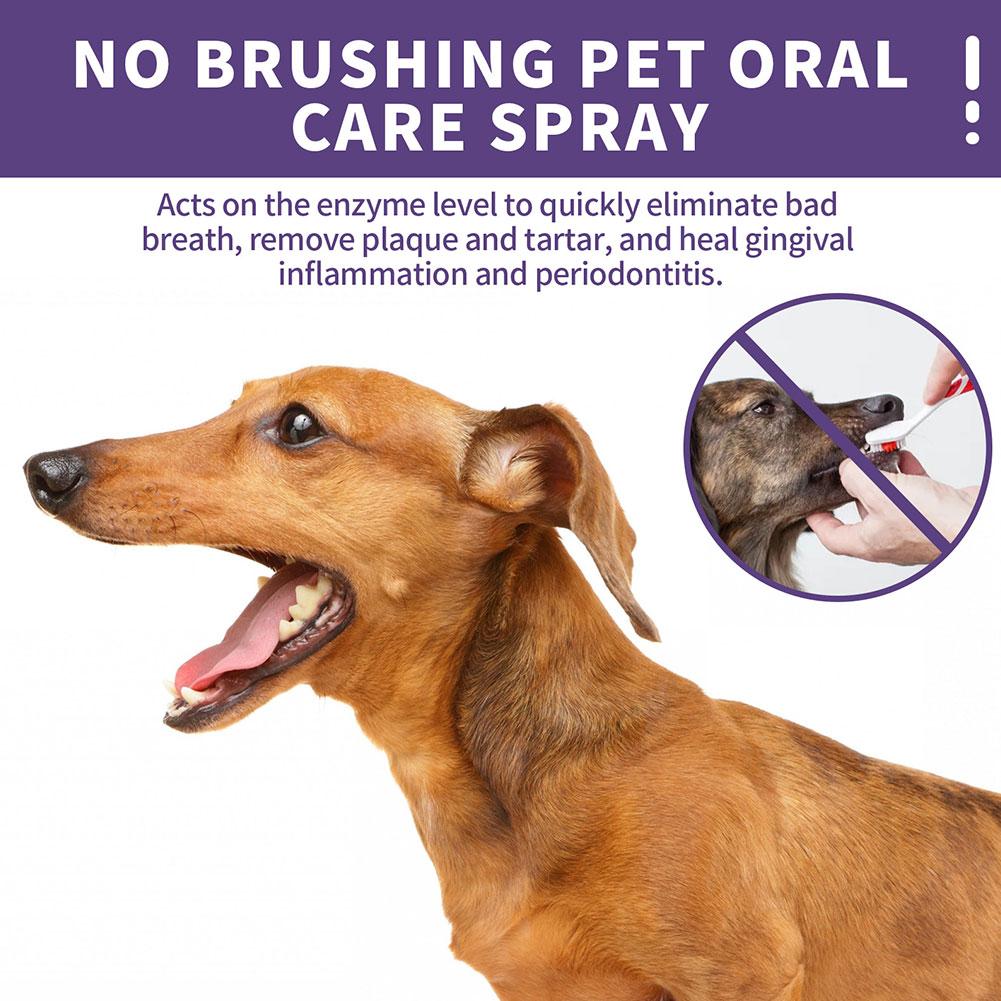 Spray Nettoyant Buccal pour An - Pet Supplies Vending Machine avis et prix