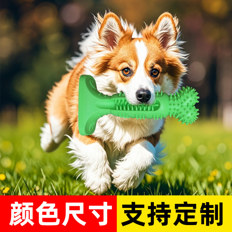 Nouveau best-seller Amazon : b - Pet Supplies Amazon avis et prix