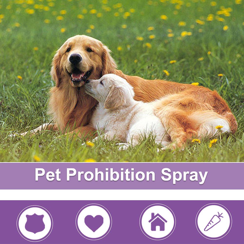 Spray apaisant pour animaux de - Pet Supplies Vending Machine avis et prix