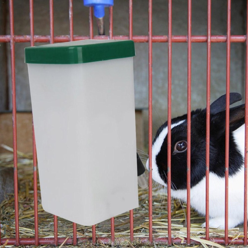 Bouteille Distributrice d'Eau  - Pet Supplies Vending Machine avis et prix