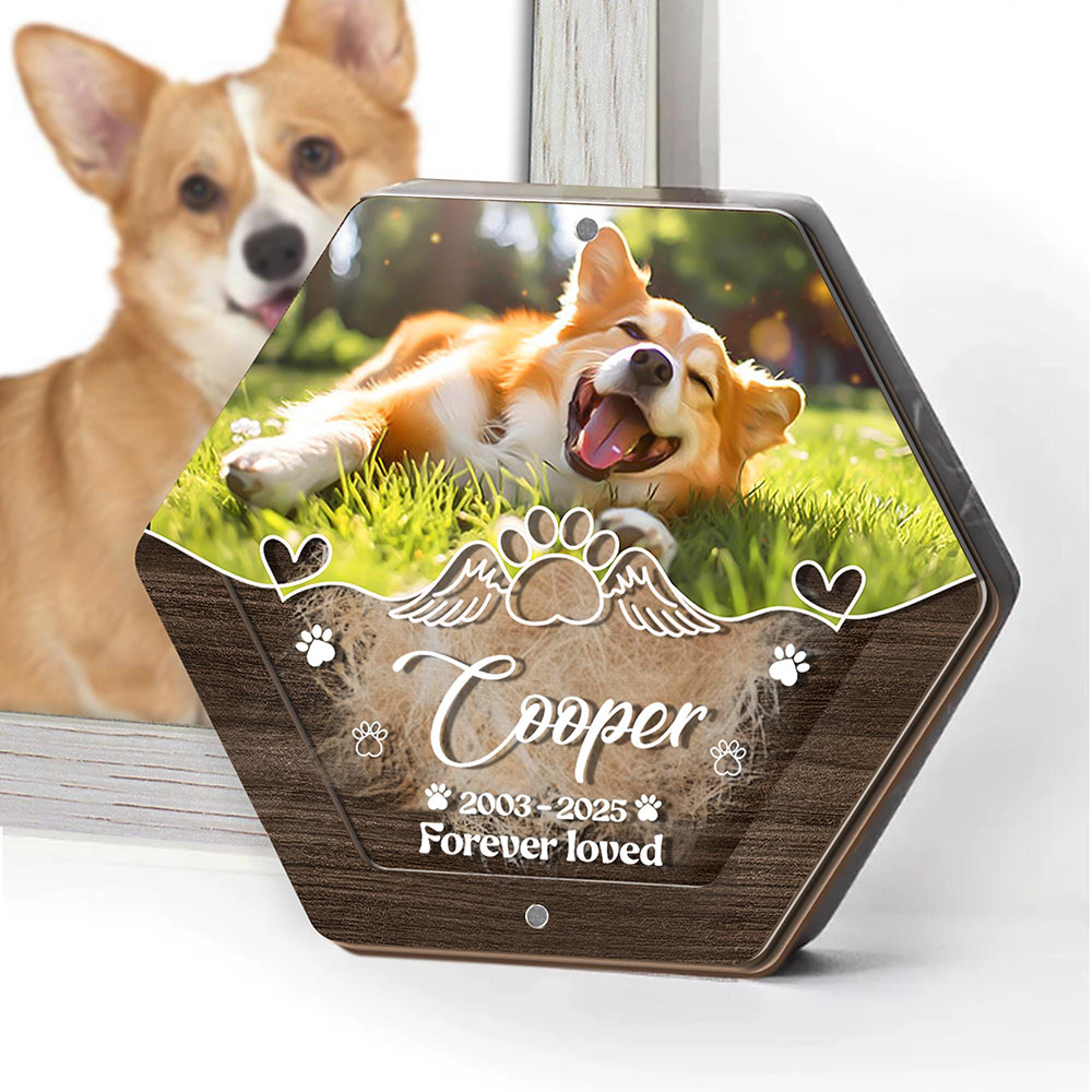 Boîte de rangement de cheveux  - Pet Supplies Vending Machine avis et prix
