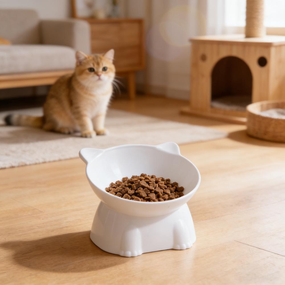 Bol pour chat noir Amazon, bol - Pet Supplies Amazon avis et prix