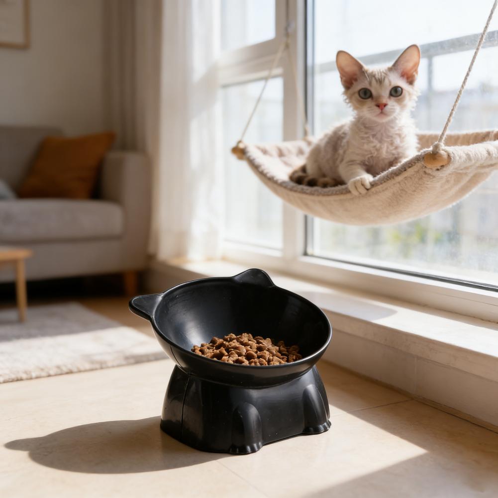Bol pour chat noir Amazon, bol - Pet Supplies Amazon avis et prix