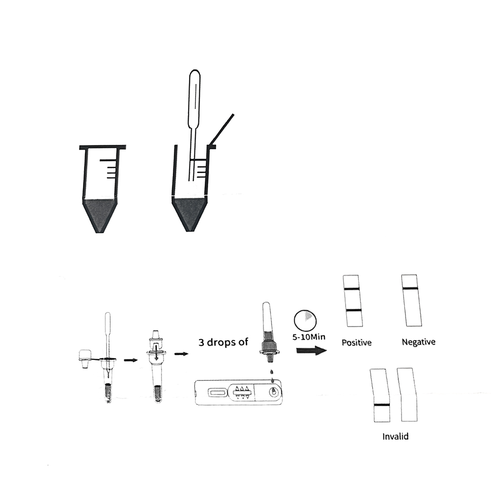 Kit de Test de Grossesse Profe - Pet Supplies Vending Machine avis et prix