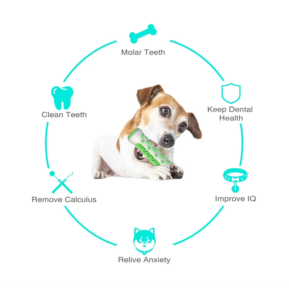 Fournitures pour animaux de co - Pet Supplies Amazon avis et prix