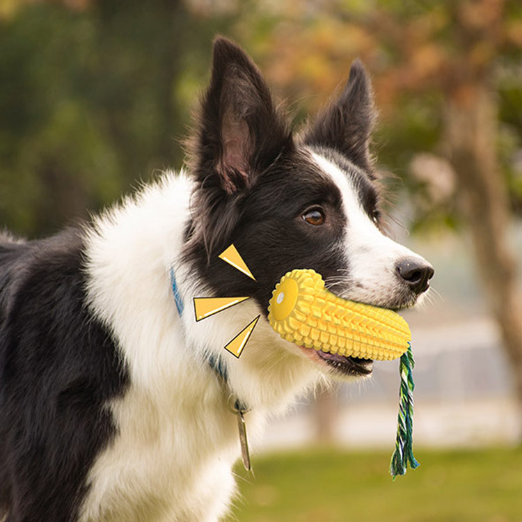 Jouet pour chien en forme de b - Pet Supplies Amazon avis et prix