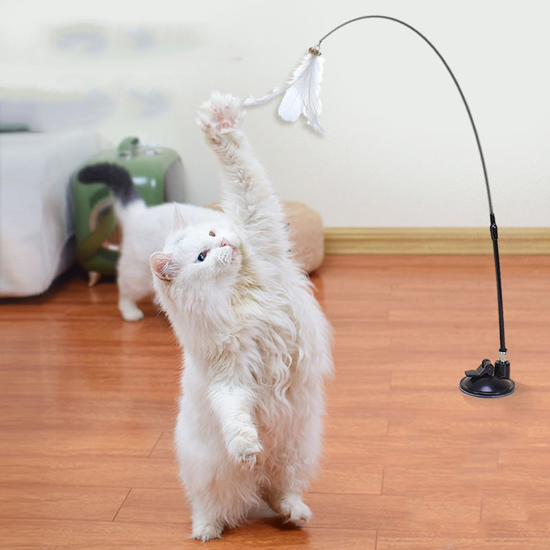 Nouveau bâton taquin pour chat - Pet Supplies Amazon avis et prix