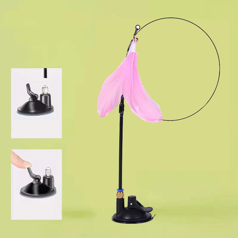 Nouveau bâton taquin pour chat - Pet Supplies Amazon avis et prix