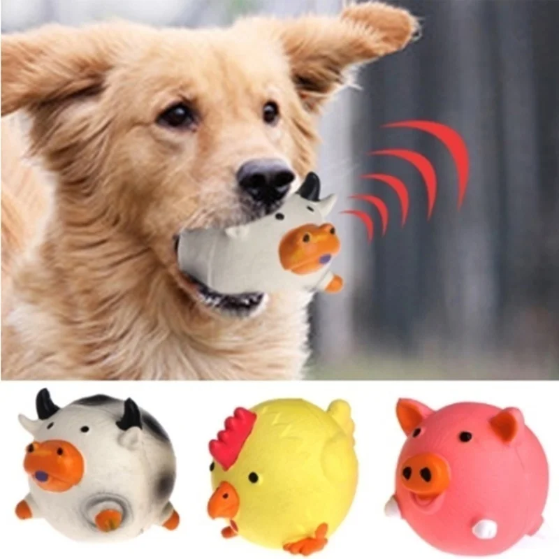 Jouet pour chien en latex en f - Pet Supplies Amazon avis et prix