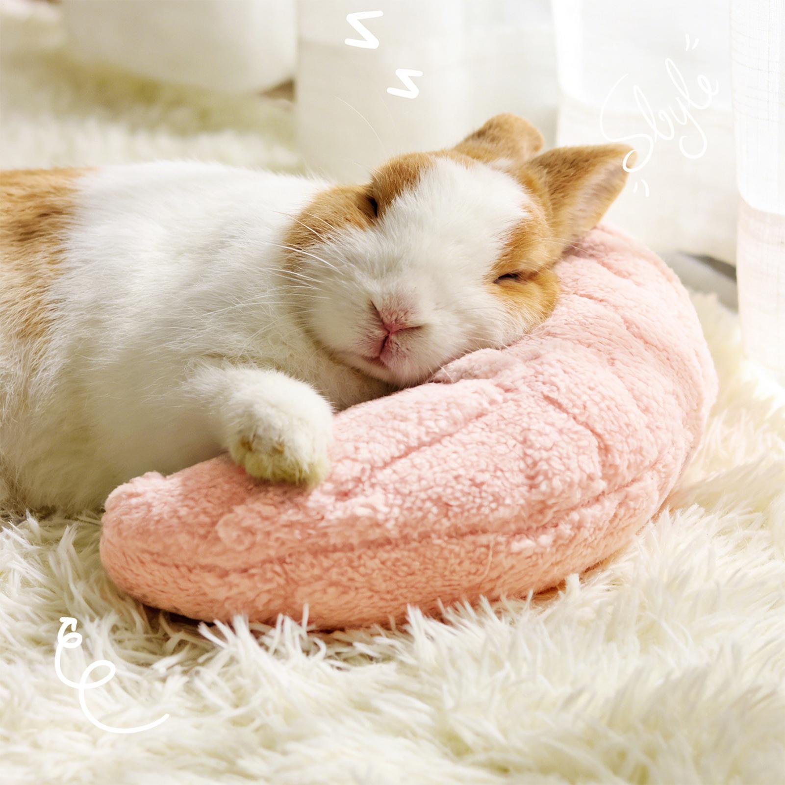 Petit coussin pour animaux de  - Pet Supplies Vending Machine avis et prix