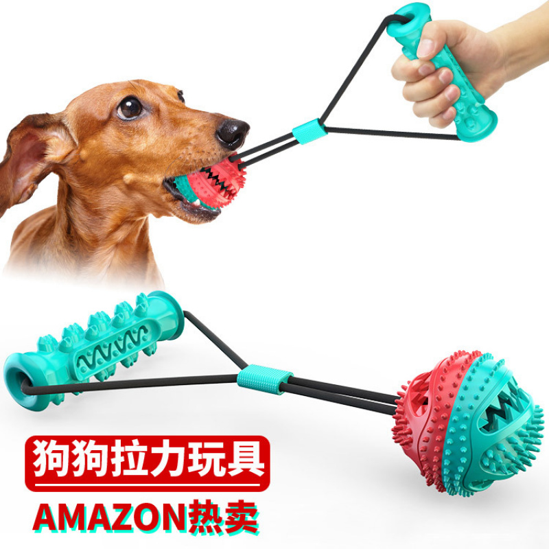 Nouvel ensemble d'accessoires  - Pet Supplies Amazon avis et prix