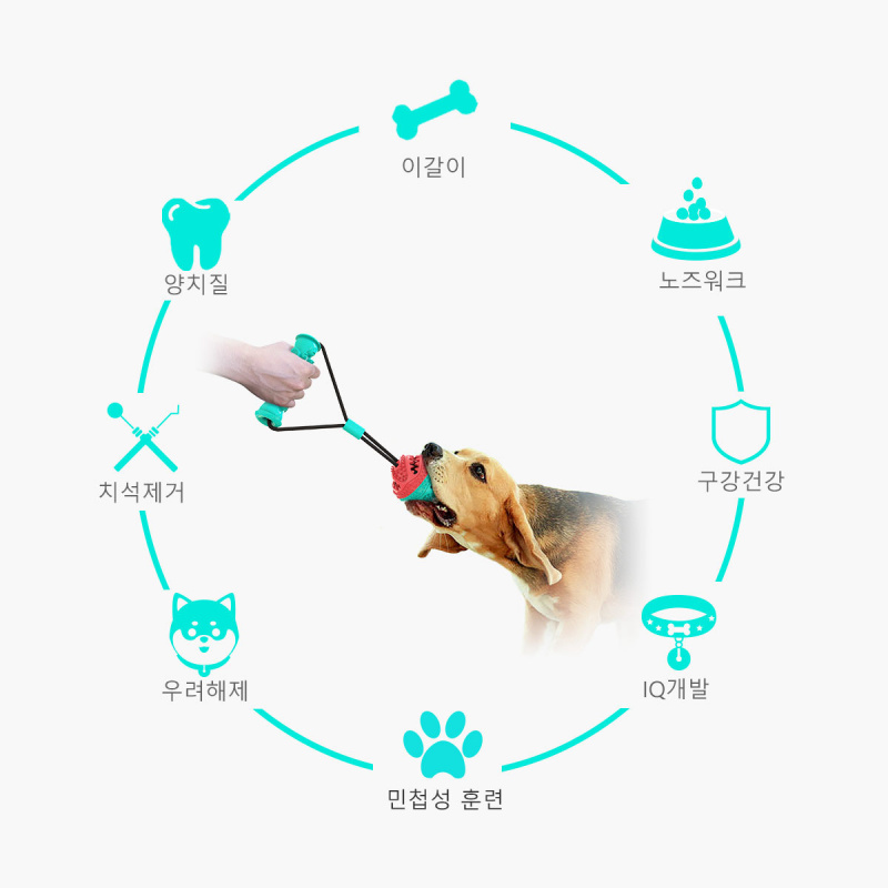 Nouvel ensemble d'accessoires  - Pet Supplies Amazon avis et prix